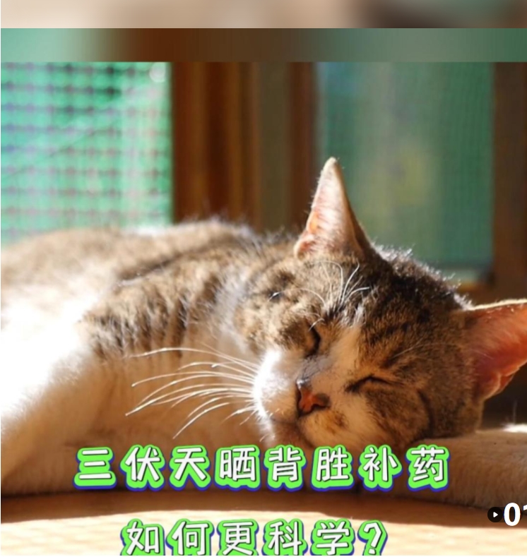 微信图片_20240704083339.jpg