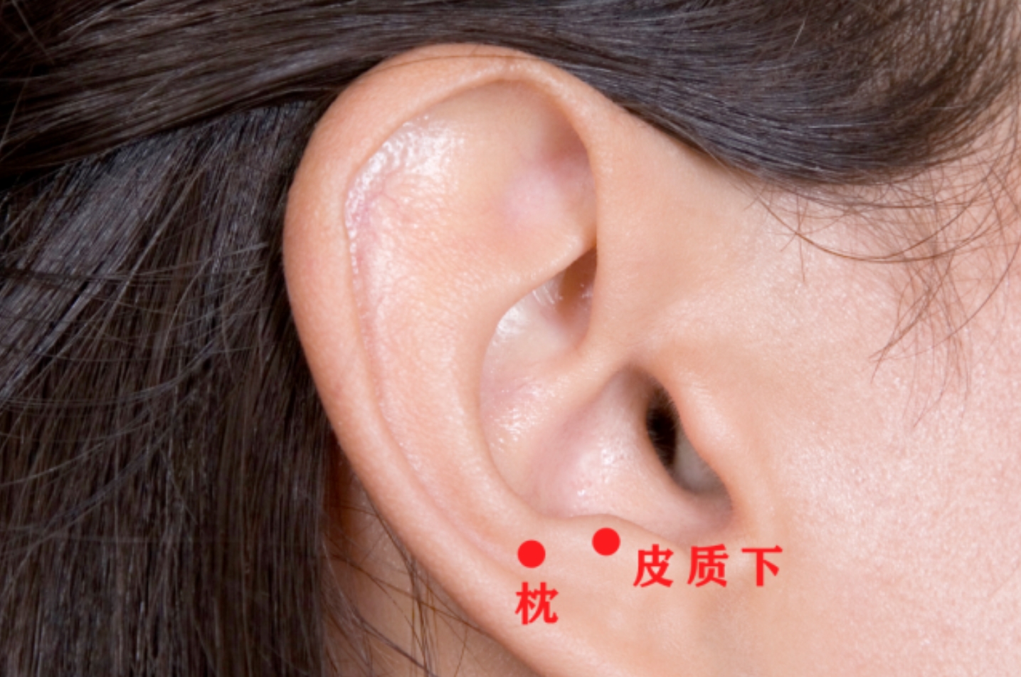 搜狗截图20240219092711.jpg