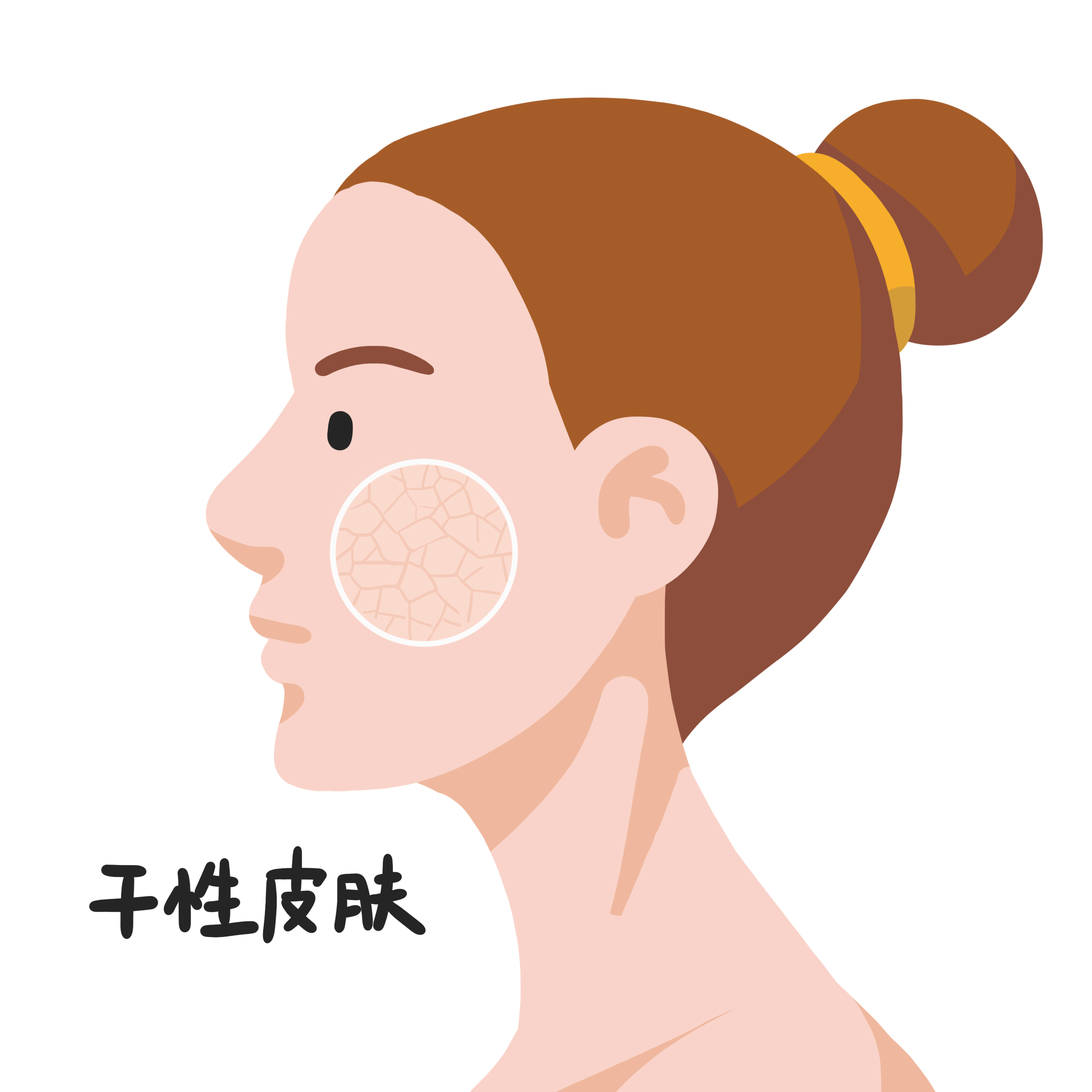 千库网_女性面部干性皮肤_元素编号13052269.png