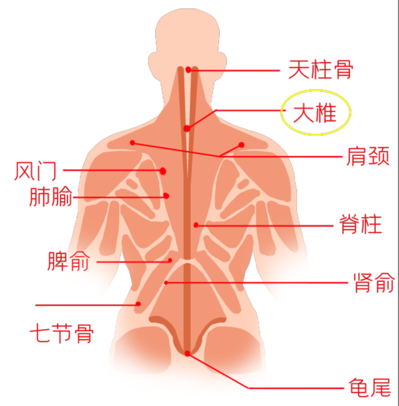 搜狗截图20240408081706.png